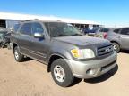 TOYOTA - SEQUOIA