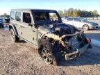 JEEP - WRANGLER