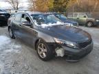 KIA - OPTIMA