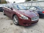 NISSAN - MAXIMA