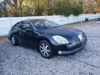 NISSAN - MAXIMA