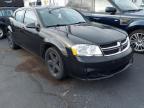 DODGE - AVENGER