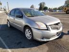 NISSAN - SENTRA