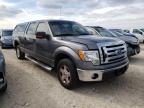 FORD - F-150