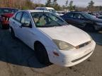 FORD - FOCUS