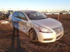 NISSAN - SENTRA