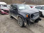 JEEP - RENEGADE