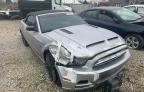 FORD - MUSTANG