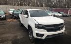 CHEVROLET - COLORADO