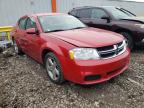 DODGE - AVENGER