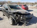FORD - ESCAPE