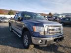 FORD - F-150