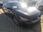 NISSAN - MAXIMA