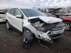 FORD - ESCAPE
