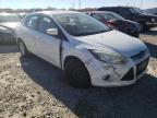 FORD - FOCUS