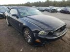 FORD - MUSTANG