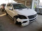 MERCEDES-BENZ - M-CLASS