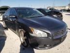 NISSAN - MAXIMA