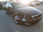 KIA - OPTIMA