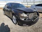 NISSAN - MAXIMA