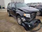 FORD - ESCAPE