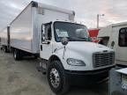 FREIGHTLINER - M2 106 MEDIUM