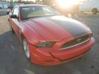 FORD - MUSTANG