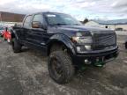 FORD - F-150