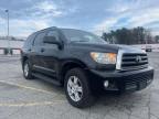 TOYOTA - SEQUOIA