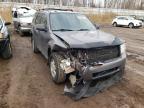 FORD - ESCAPE