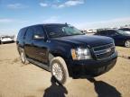 CHEVROLET - TAHOE