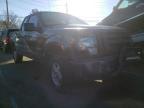 FORD - F-150
