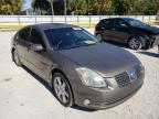 NISSAN - MAXIMA