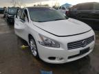 NISSAN - MAXIMA
