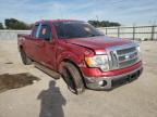 FORD - F-150