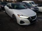 NISSAN - MAXIMA