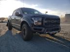 FORD - F150 SVT