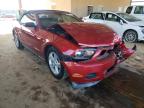 FORD - MUSTANG