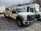 FORD - F550