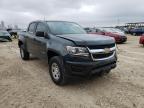 CHEVROLET - COLORADO