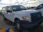 FORD - F150