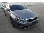 KIA - OPTIMA