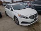 HYUNDAI - SONATA