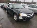 DODGE - AVENGER