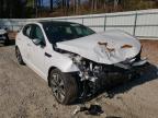 KIA - OPTIMA