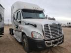 FREIGHTLINER - CASCADIA 1