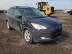 FORD - ESCAPE
