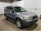 FORD - ESCAPE