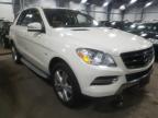 MERCEDES-BENZ - M-CLASS