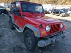 JEEP - WRANGLER